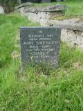 image of grave number 250878